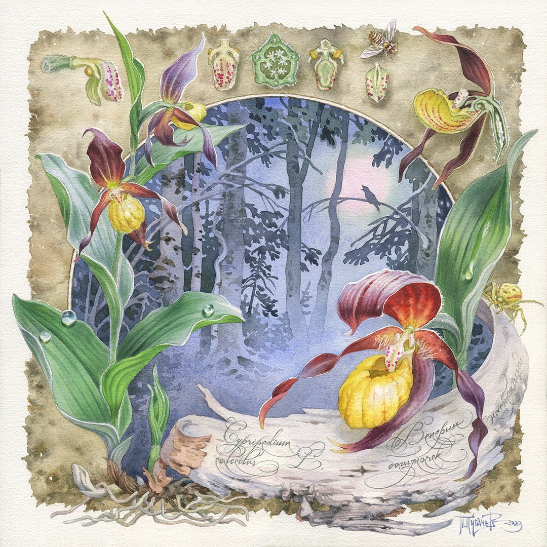 Художник Павел Пугачев