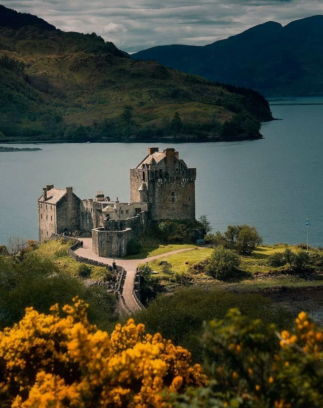 фото из открытого доступа