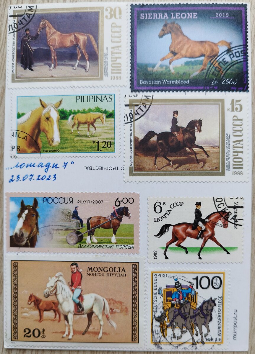 Тема - Лошади