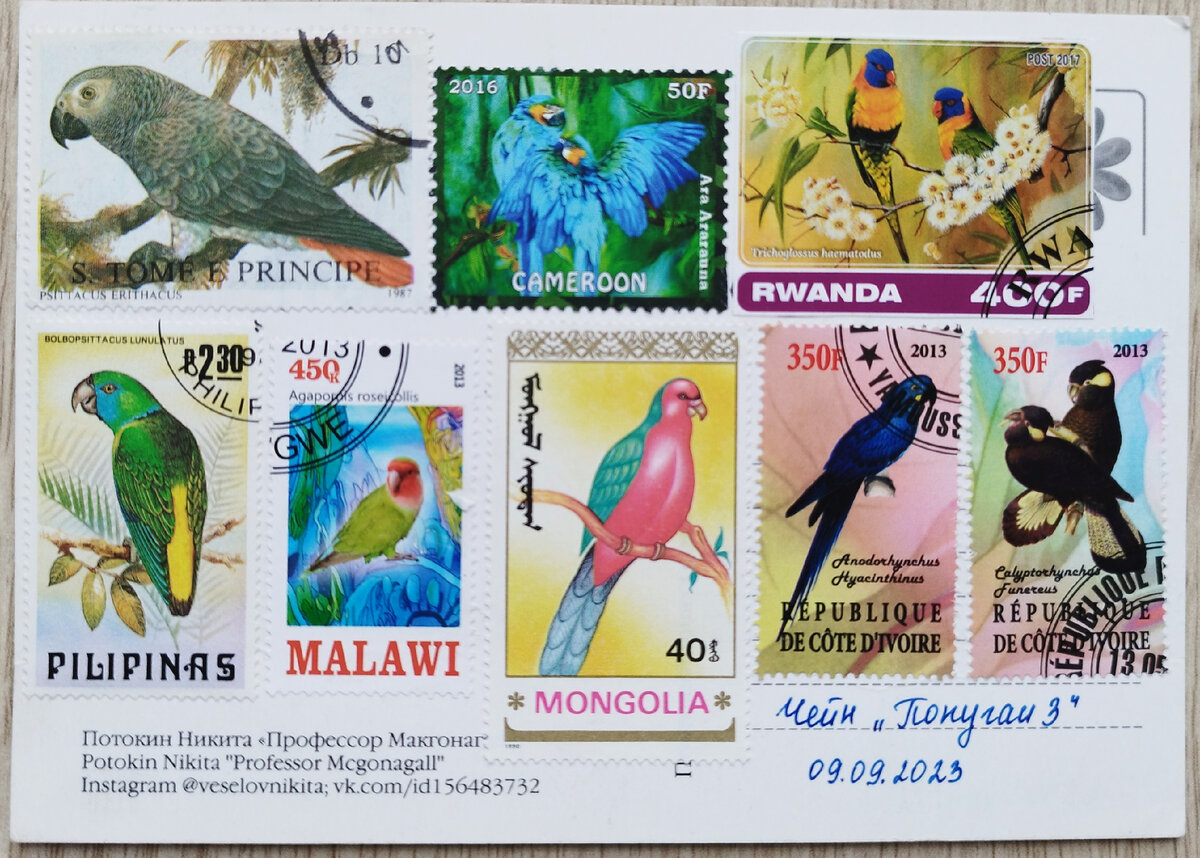 Тема - Попугаи