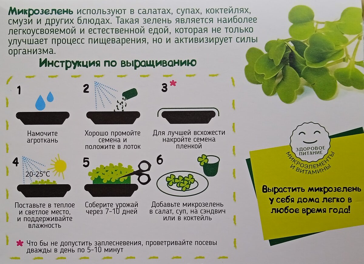 Инструкция по выращиванию микрозелени