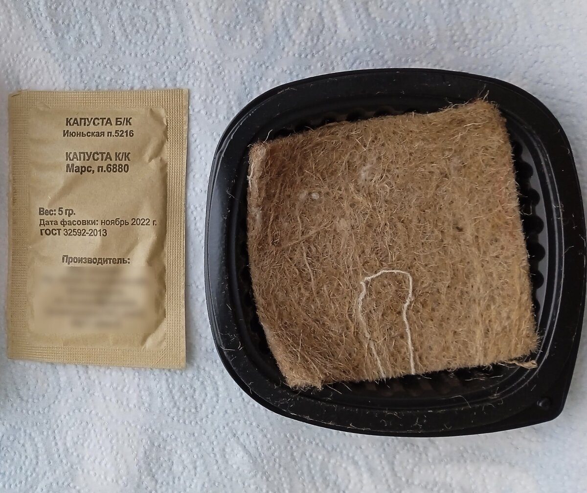 Всё, что нужно для выращивания микрозелени капусты