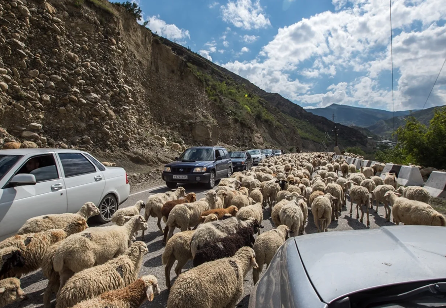 Административный центр дагестана. Административный центр дагестана. Республика дагестан на карте. Карта республики дагестан с районами. Карта республики дагестан с районами.