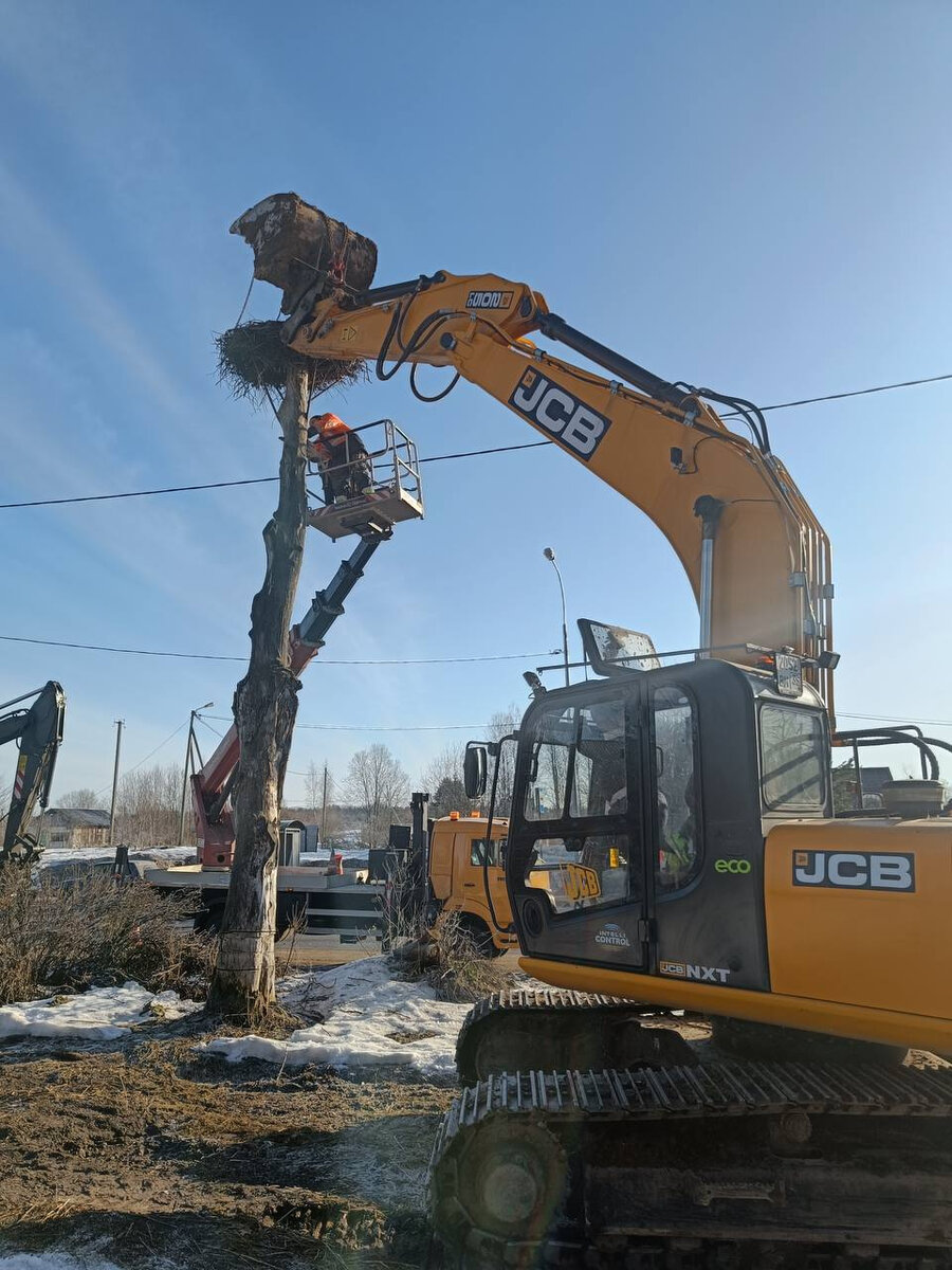 В деревне Кузнецово в Лужском районе Ленобласти дорожники организовали  переезд дома аистов, пока хозяева ещё не заселились. Читайте на 