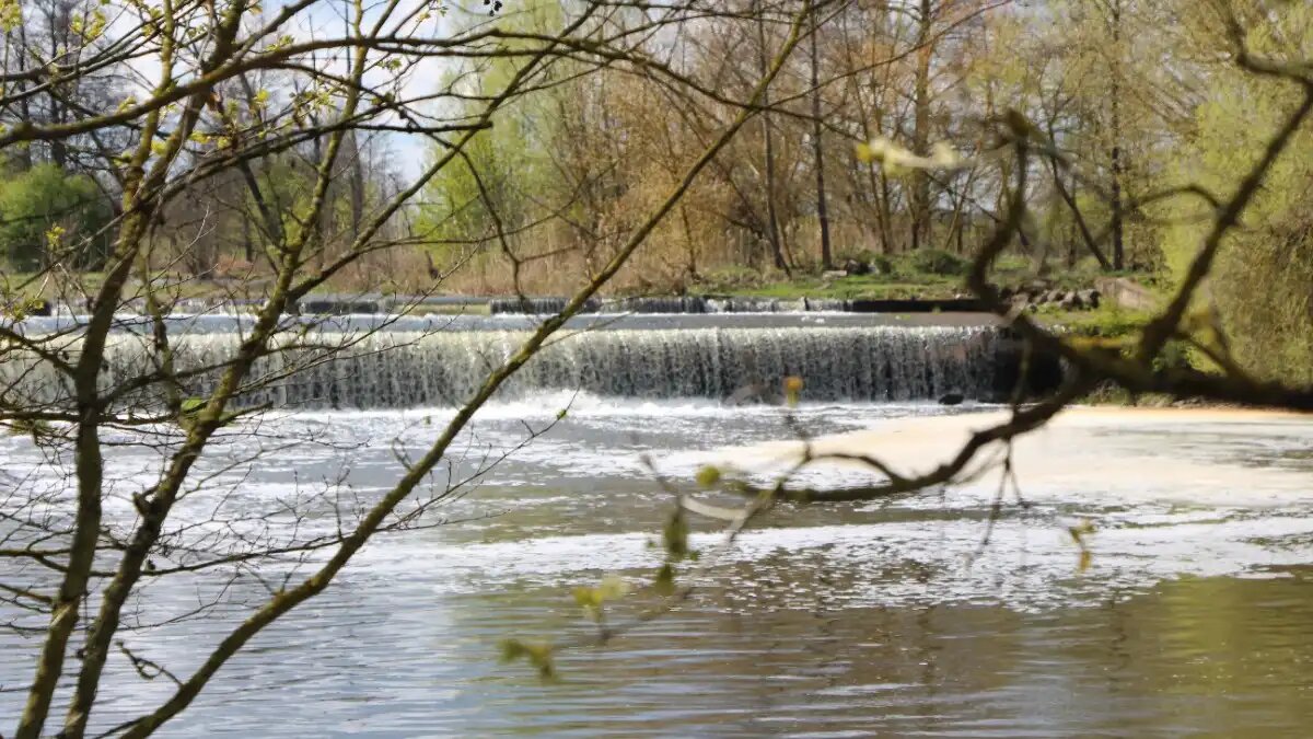 Фото:© Владимир Исаенко / Glavagronom.ru На качество прибрежных вод Черного моря повлияло использование удобрений (фото иллюстративное)