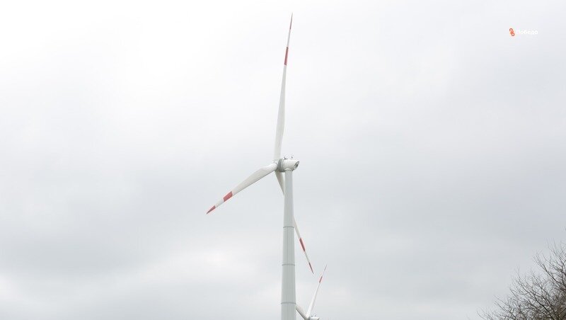      Фото: Валерия Алтухова / / ИА «Победа26»