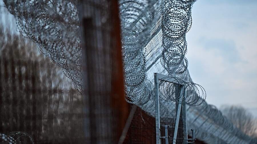 Фото: Global Look Press/Marton Monus