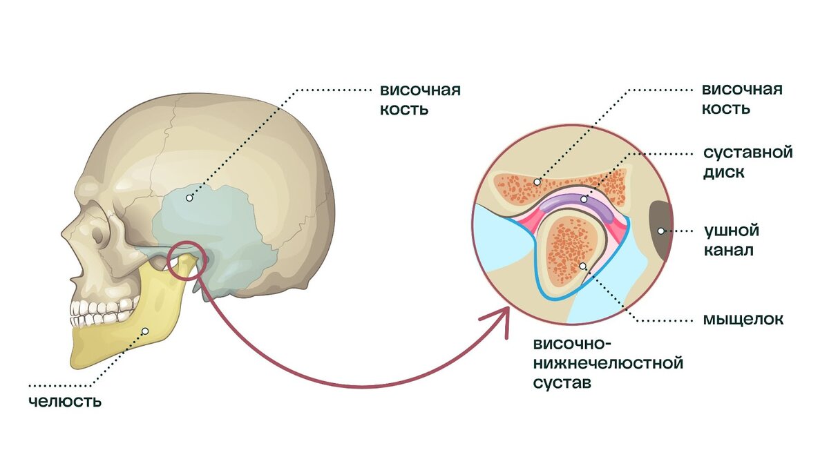 Почему щелкает челюсть: причины и лечение