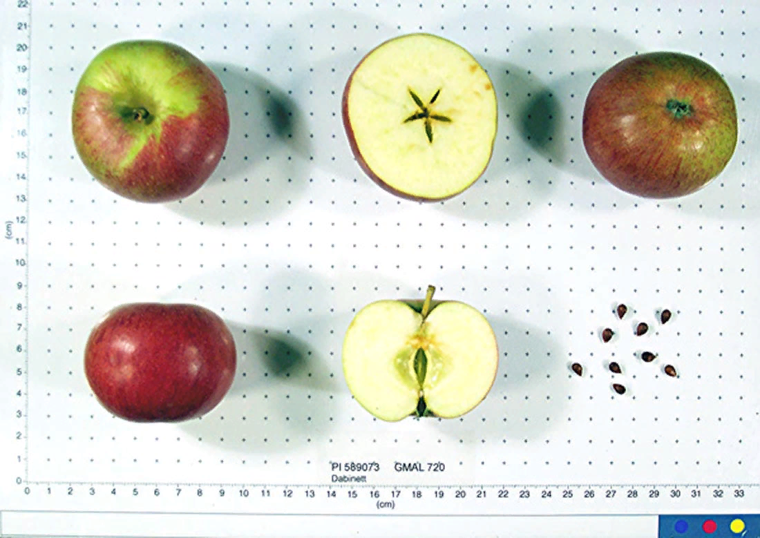Сложно составить точный список сортов яблок с самым высоким содержанием танинов, поскольку уровень танинов может варьироваться от одного сорта к другому и также зависит от таких факторов, как климат,-2