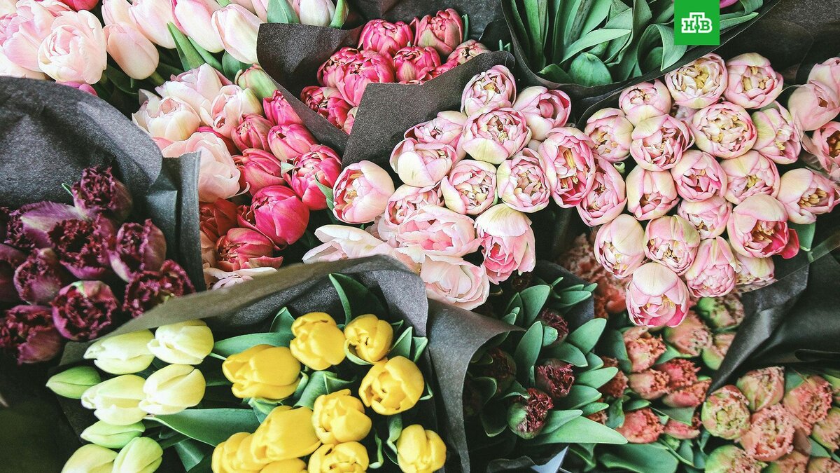    Фото: Bianka Csenki / unsplash.com