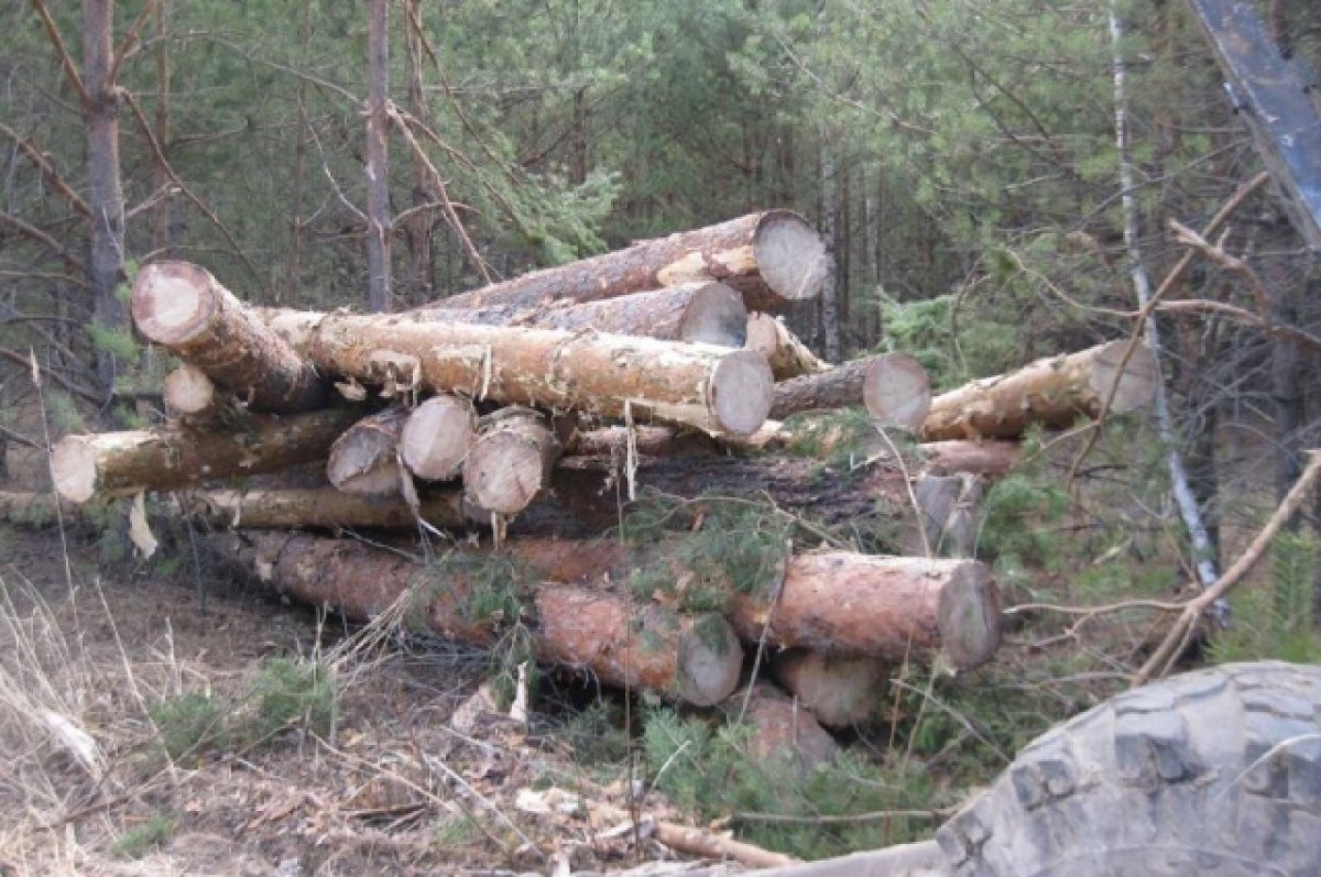    Иллюстративное фото.