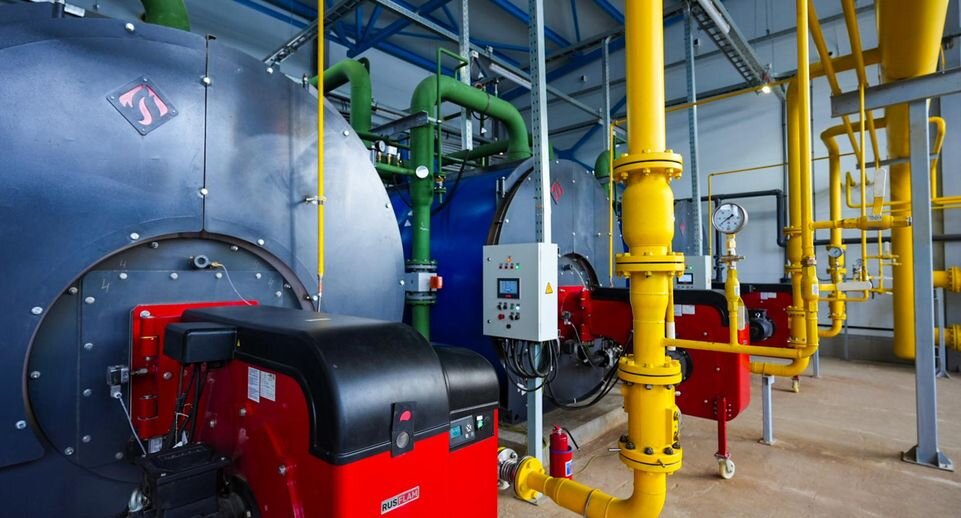     Автор фото: Александра Степанова