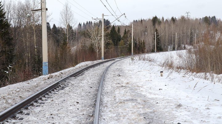 ELENA MAYOROVA/GLOBALLOOKPRESS