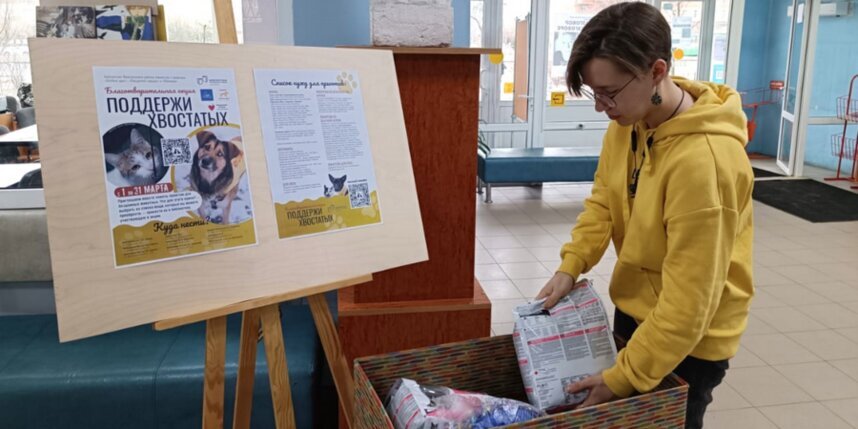   В петербургских библиотеках стартовала благотворительная акция "Поддержи хвостатых".Фото: пресс-служба СПбГБУ «ЦБС Фрунзенского района».