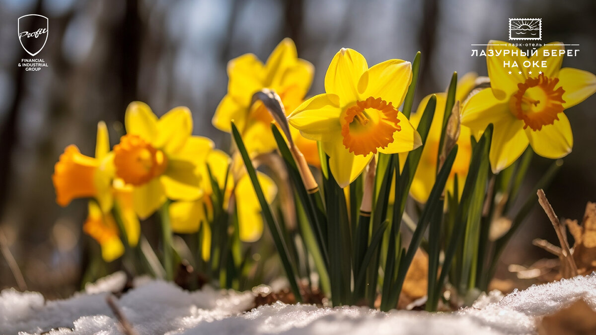 #профит #профитгруп #profitgroup #фпгпрофит #группакомпанийпрофит #лазурныйберегнаоке #отдых #каникулы #туризм #турист #путешествие #калужскаяобласть #тарусскийрайон #ока #рекаока #отель #паркотель #акция #внутреннийтуризм #отельныйбизнес #гостиничныйбизнес #праздник #8марта #масленица #весенниеканикулы