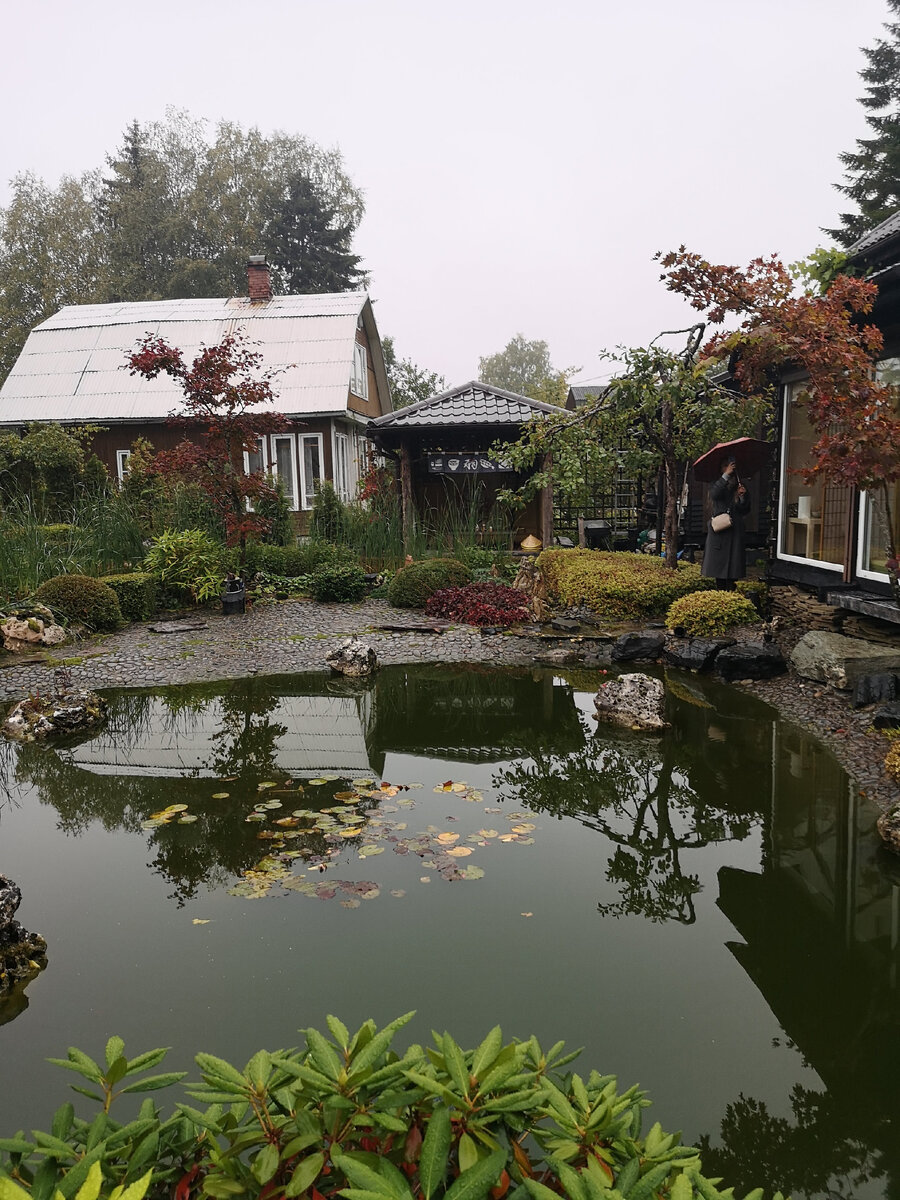 Сад 2 спб. Аллея берсо в петергофе. Сад 2 спб. Сад 2 спб. Детский сад 14 московского района санкт-петербурга.