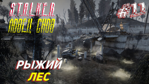 РЫЖИЙ ЛЕС ➤ S.T.A.L.K.E.R. Ловец Снов Прохождение #11