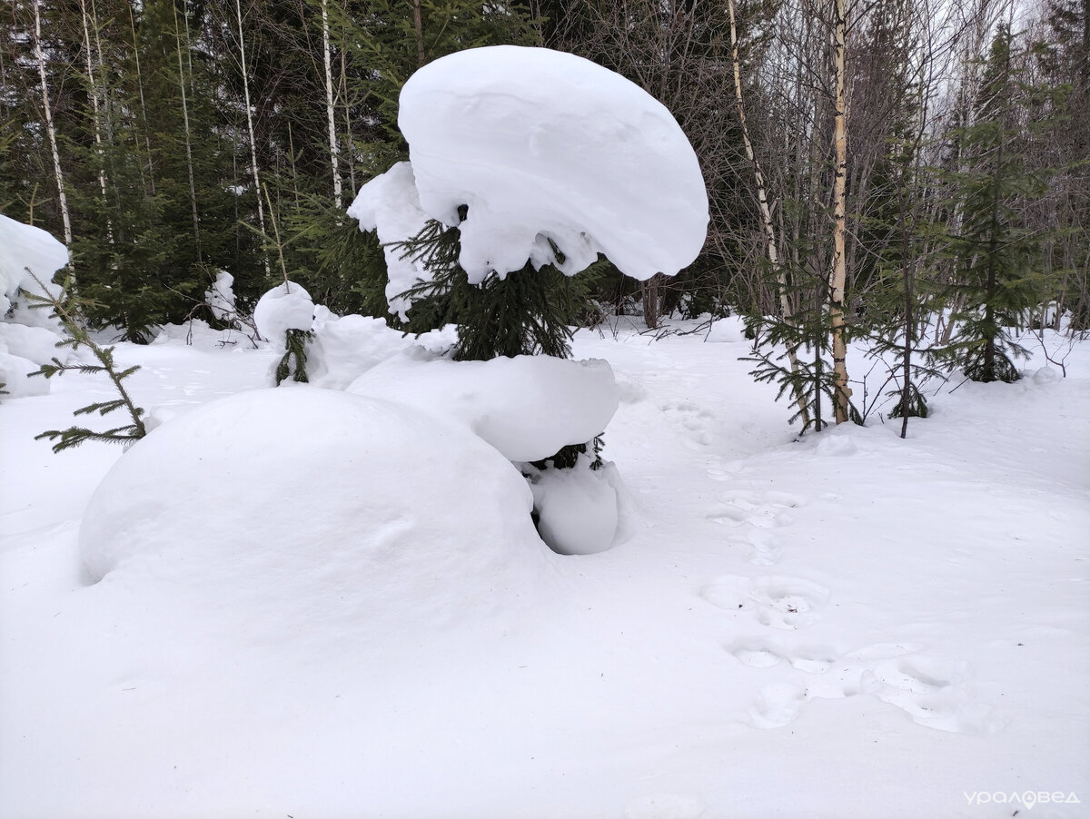 попутчикиддо челябинска. что мне понравилось в музее. срочно нужен автоволонтер. группа воскресение 2022 года. артемке было приятно, что его заметили , в тоже время неловко.