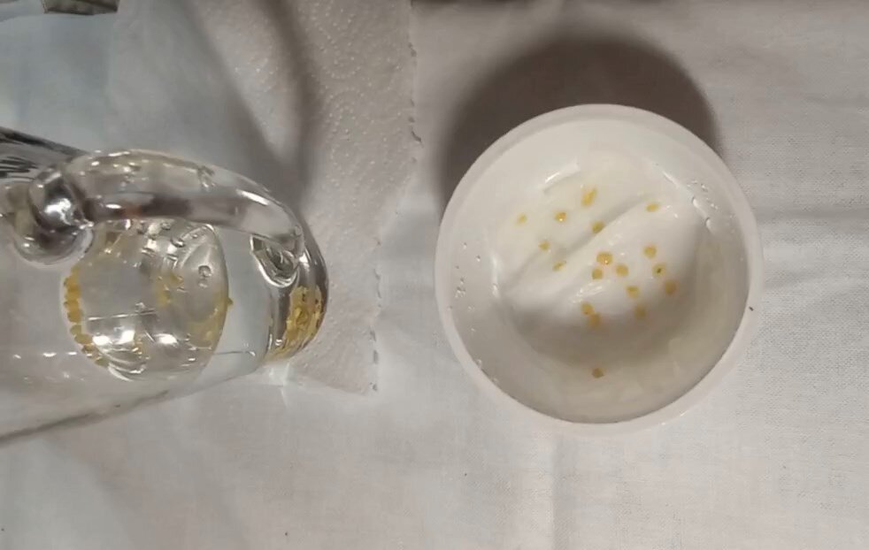 Отправляем семена на проращивание или набухание