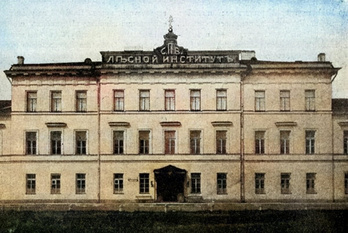 Лесной институт в Санкт-Петербурге