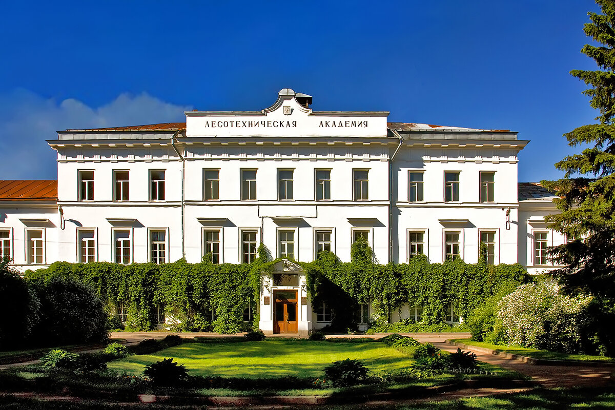 Современный вид учреждения