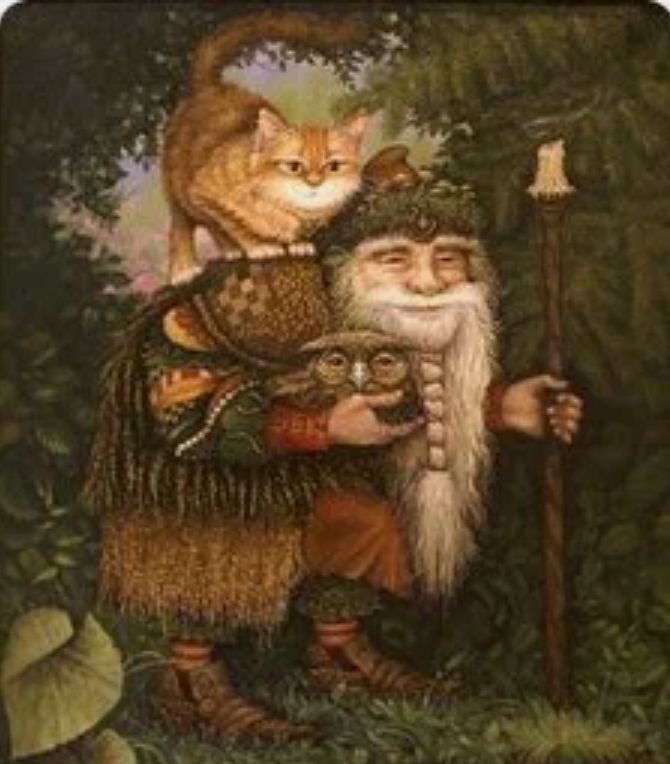 Фото из открытого источника в интернете