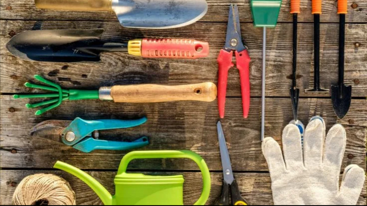 Яндекс- картинки