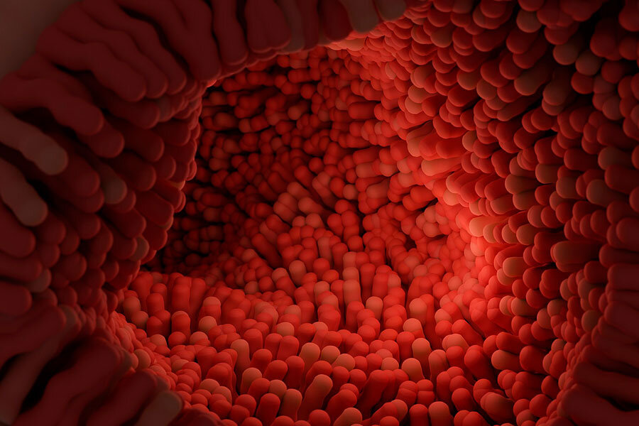    Фото: IMGMIDI / Pixabay.com