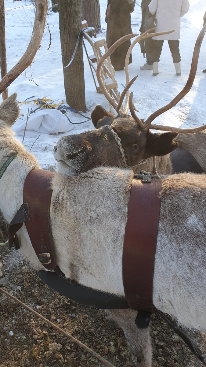 Фото из собственного архива