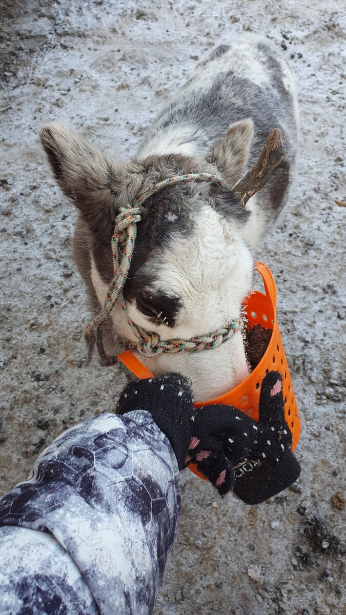 Фото из собственного архива