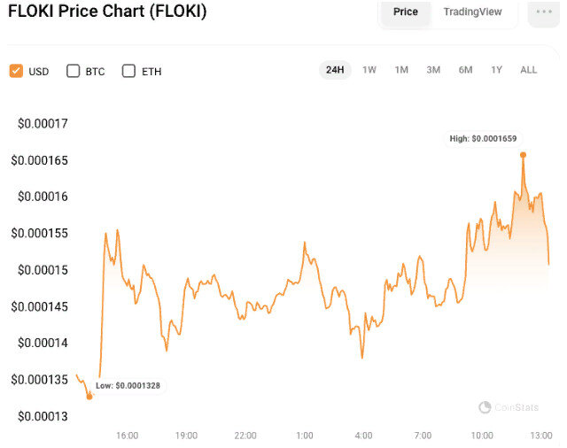 24-часовой график цены FLOKI/USD (источник: CoinStats)
