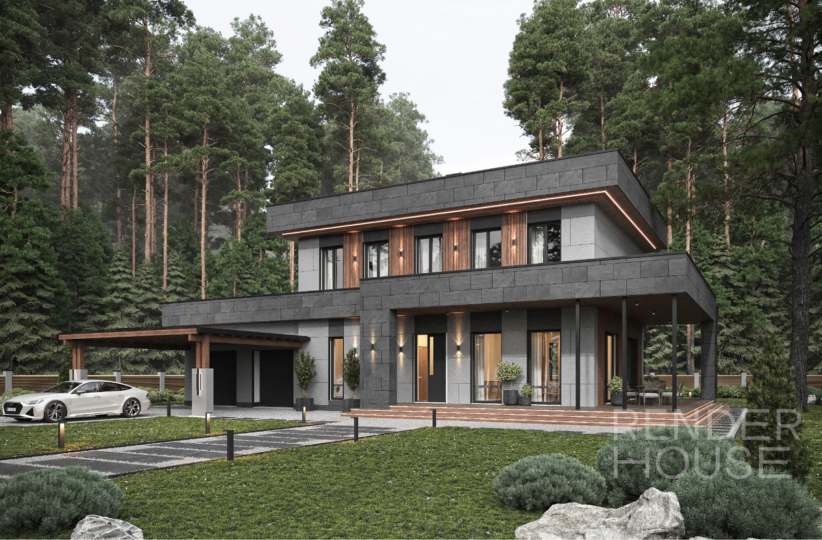 Проект ПАПУШЕВО ПАРК, Render House