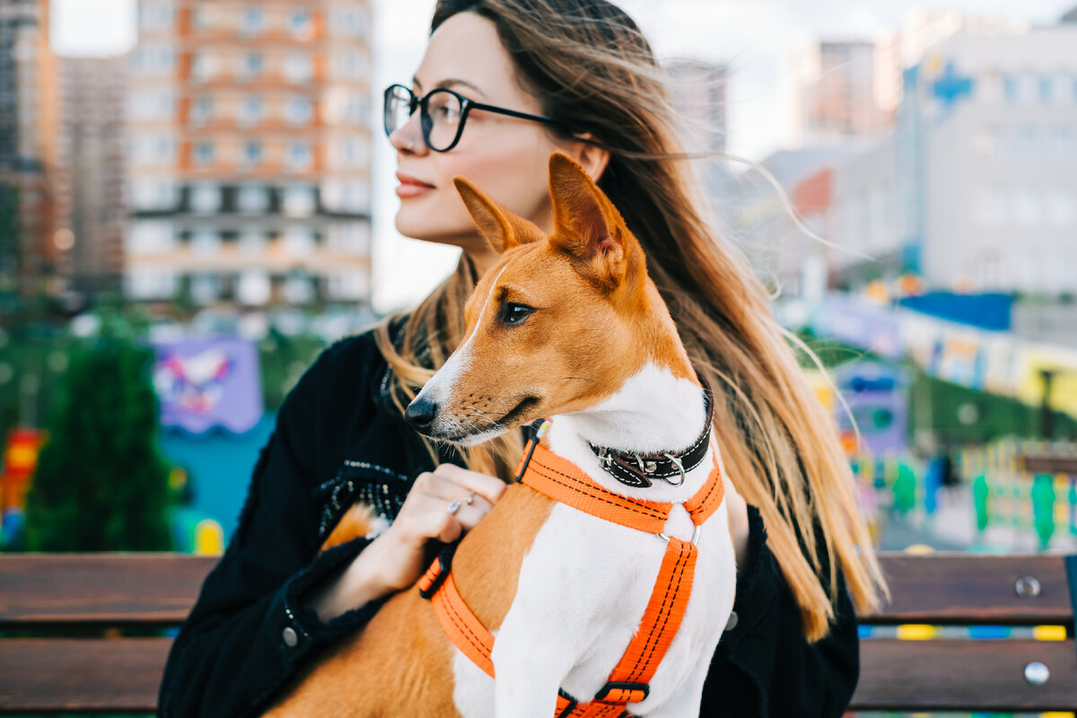 Что подарить девушке на 8 марта, день рождения или просто так? Если она любит свою собаку, у нас есть целых 12 подсказок.