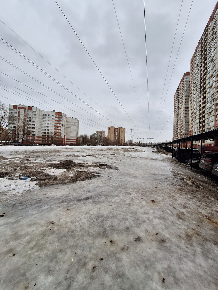 Чем грозит излучение? Обзор ЖК «‎Звёздный» в СПб: отзывы жильцов и мнение  эксперта | Сергей Смирнов Недвижимость | Vysotsky Estate | Дзен