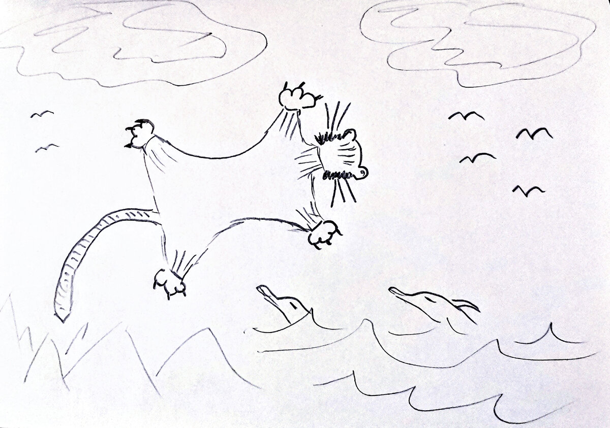 Лечу, лечу, куда хочу!