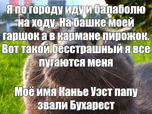 Моя башка отупела