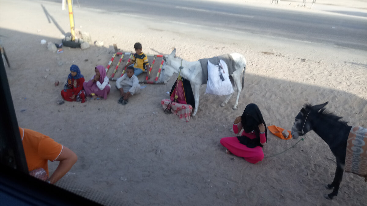 Тени на Земле