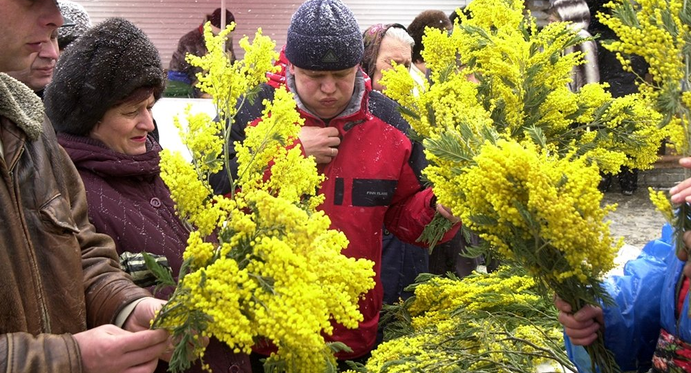 -Почём цветочки сынок? -150 бабуля. Рассказываю, почему я больше никогда не стану торговать мимозами на 8 Марта