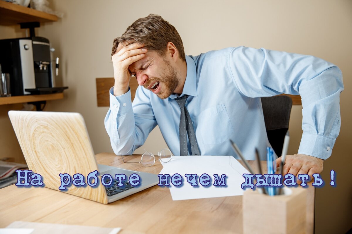 Эффективная вентиляция - чистый воздух и здоровый климат на рабочем месте