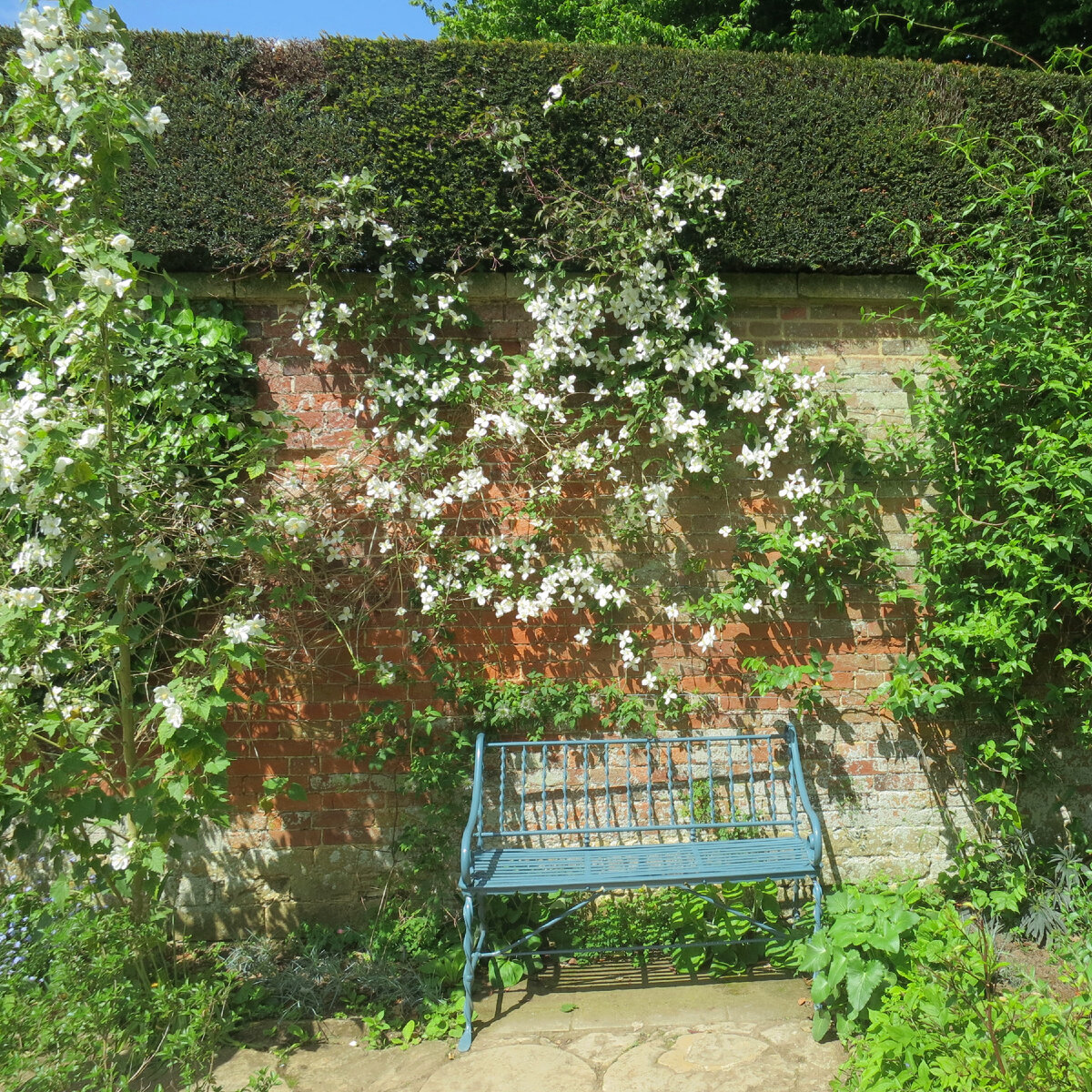 Садовая скамейка в Hidcote Manor Garden, мое фото