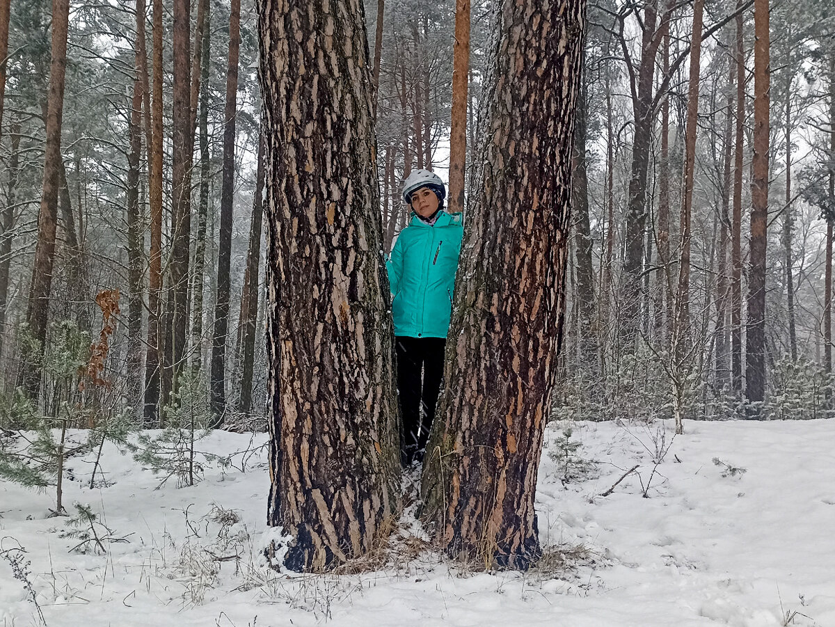 Зимой в лесу