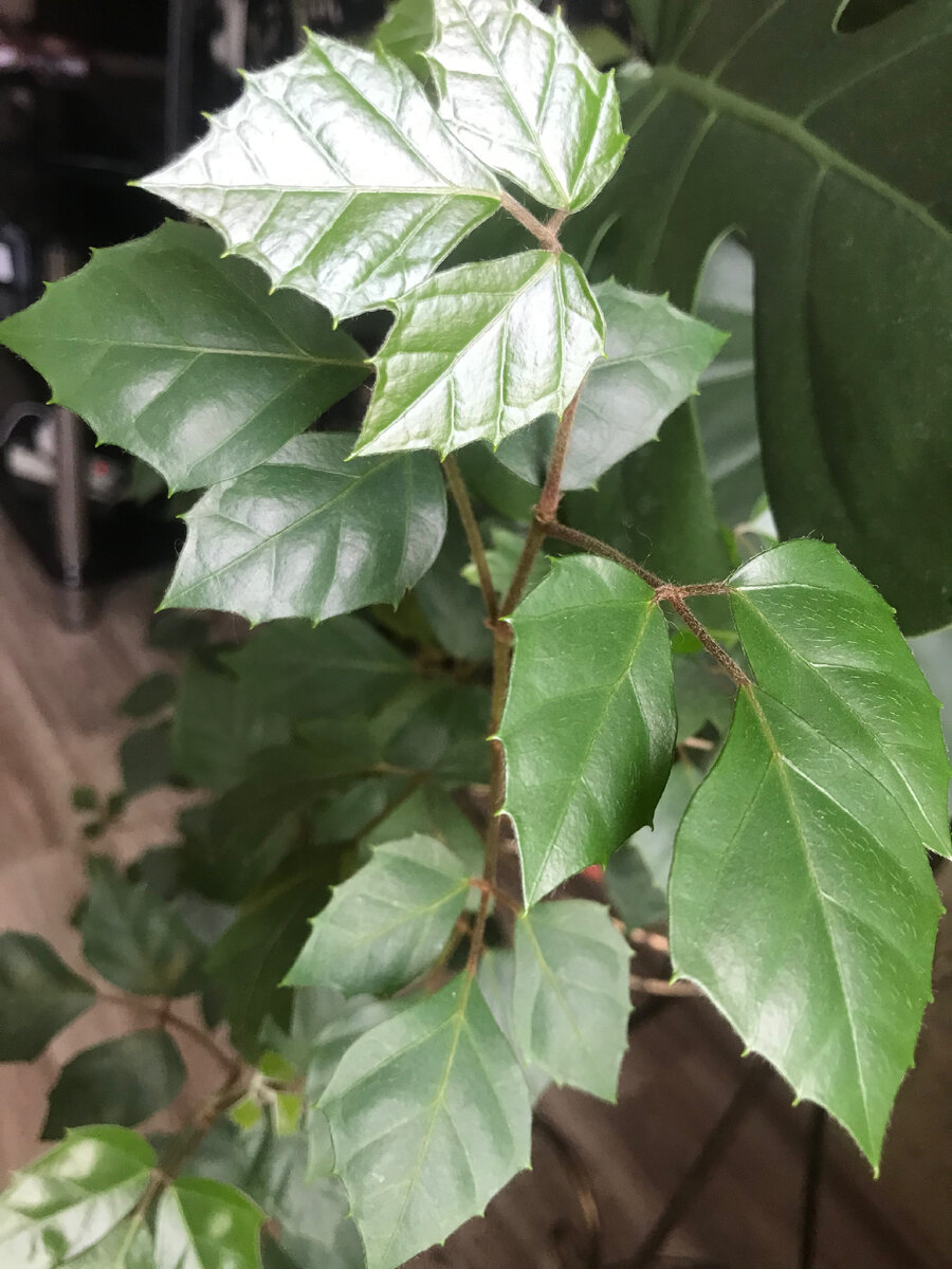 Все фото Автора канала.