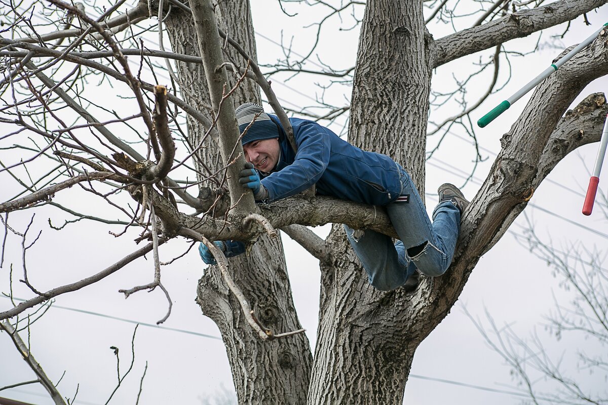 Это я на большом орехе, как тарзан)