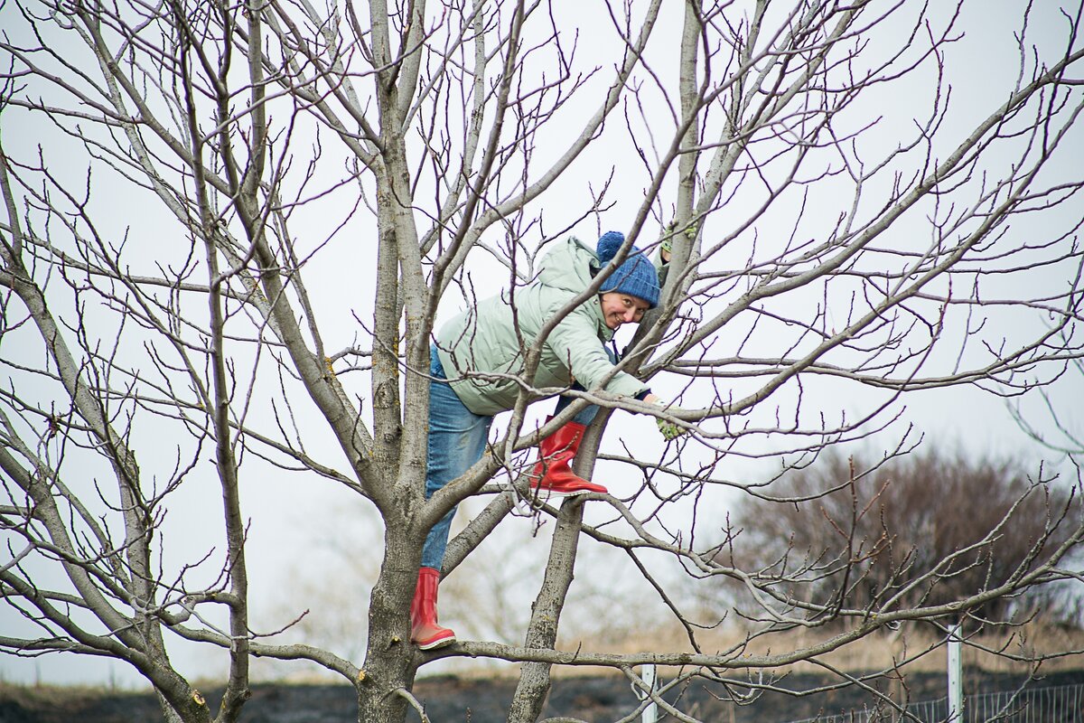 Лена, насмотрелась  на меня и тоже полезла повыше