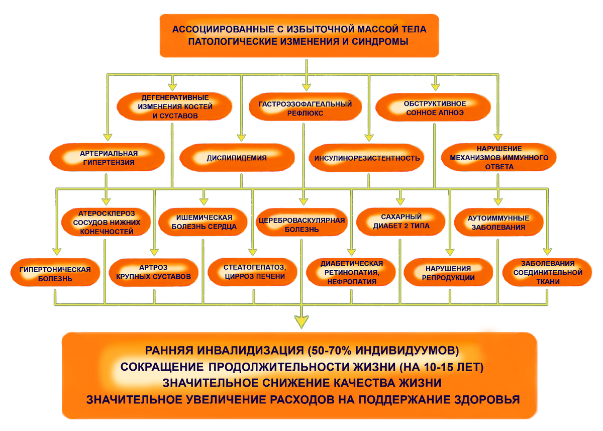 Последствия лишнего веса для здоровья. Источник изображения - сеть Интернет. 