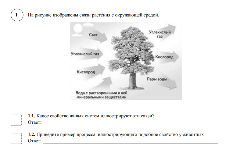 Проверочная по информатике 7 класс. Контрольные работы информатика ответы 7 класс. Информатика 7 класс первая контрольная работа. Информатика 7 класс контрольная работа. Якласс итоговая контрольная работа по информатике 7 класс.