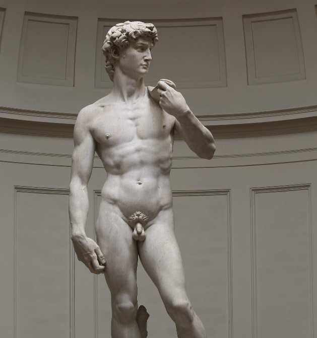 Микеланджело Буонарроти. Давид. Фрагмент.