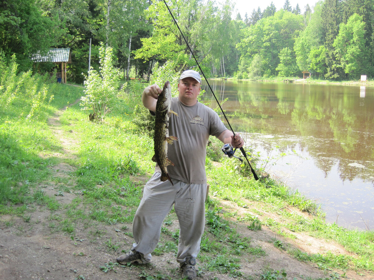 Выбираем платник. Краткое руководство по ловле карпа, щуки, форели, сома. |  Multi-Fish TV Максим Балаев | Дзен