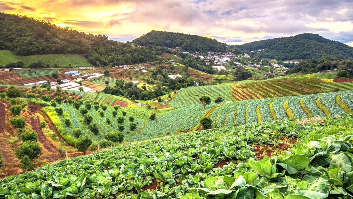 Современные методы органического земледелия