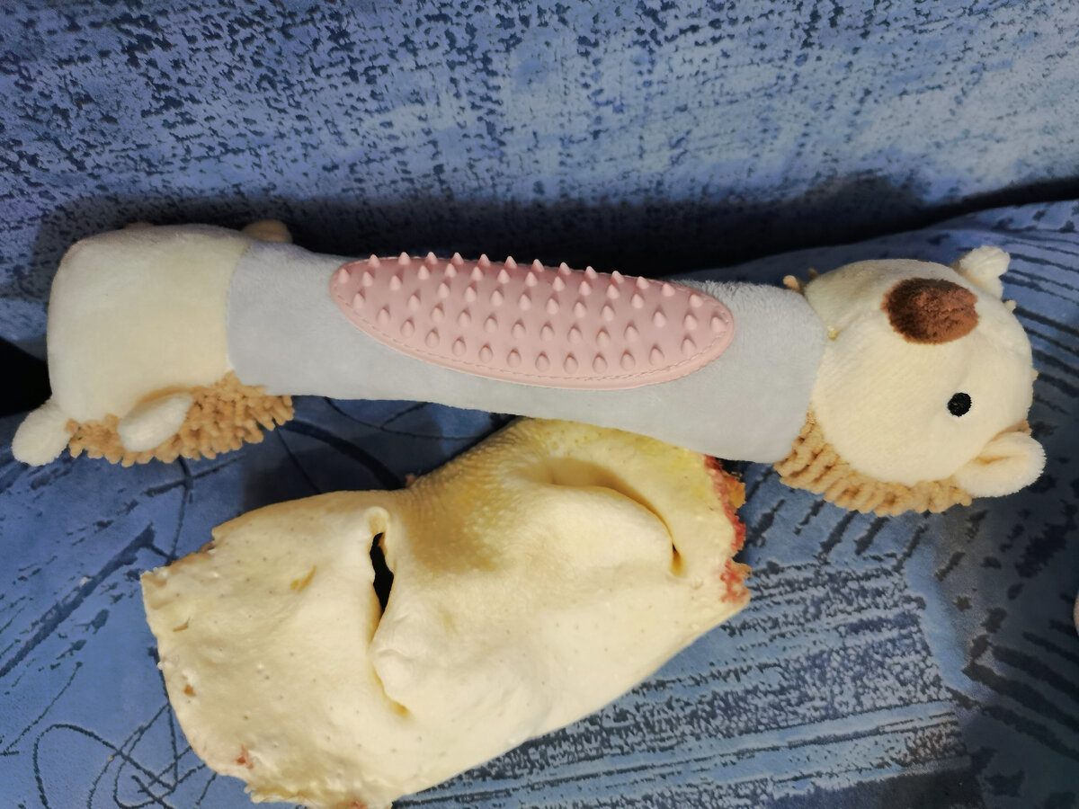 Вот, например, что получила Джеська в свой день рождения вчера. 